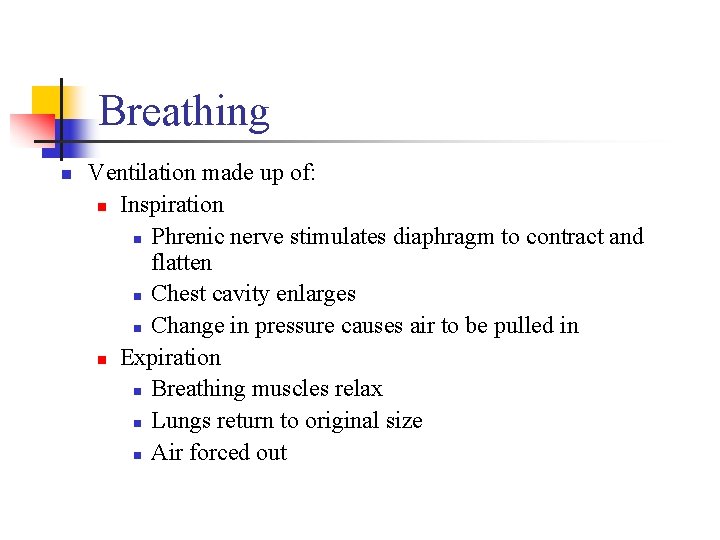 Breathing n Ventilation made up of: n Inspiration n Phrenic nerve stimulates diaphragm to