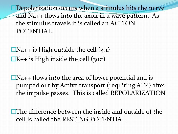 �Depolarization occurs when a stimulus hits the nerve and Na++ flows into the axon