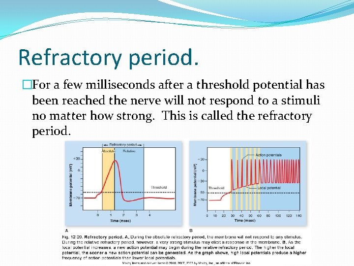 Refractory period. �For a few milliseconds after a threshold potential has been reached the