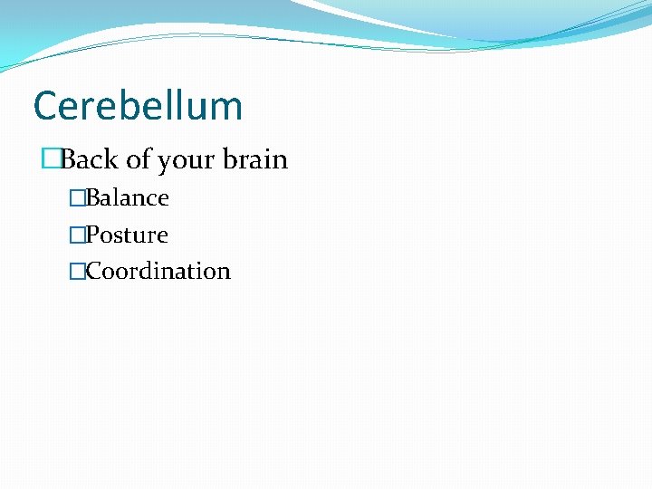 Cerebellum �Back of your brain �Balance �Posture �Coordination 