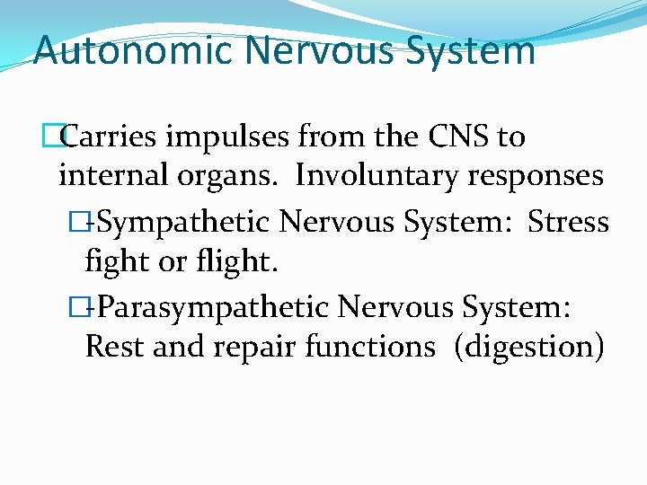 Autonomic Nervous System �Carries impulses from the CNS to internal organs. Involuntary responses �-Sympathetic