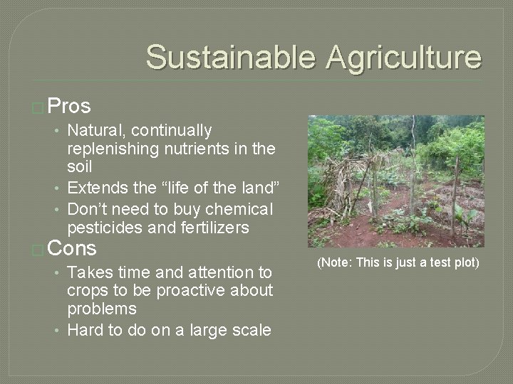 Sustainable Agriculture � Pros • Natural, continually replenishing nutrients in the soil • Extends