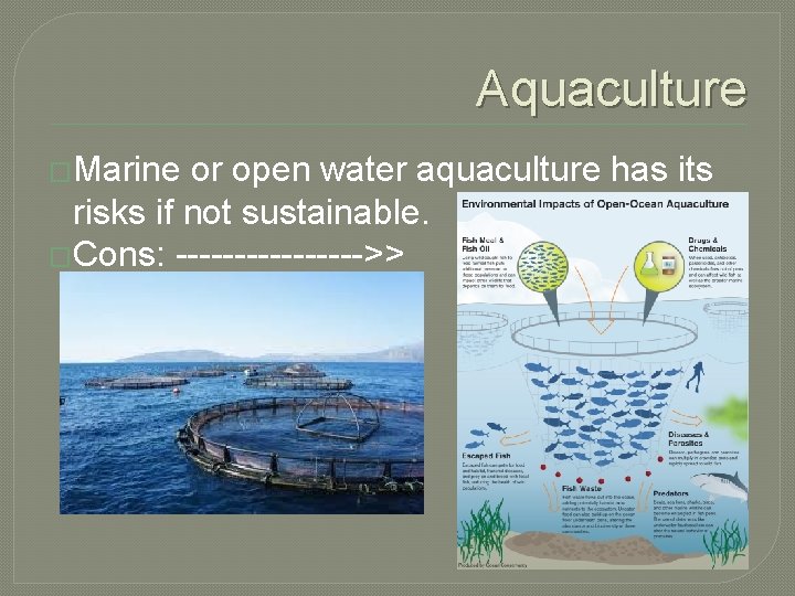 Aquaculture �Marine or open water aquaculture has its risks if not sustainable. �Cons: -------->>