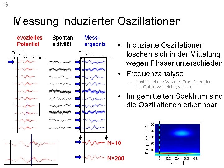 16 Messung induzierter Oszillationen Ereignis – 0. 1 Spontanaktivität Messergebnis Ereignis 0. 9 s