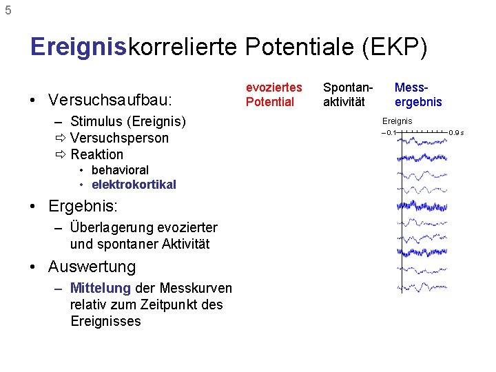 5 Ereigniskorrelierte Potentiale (EKP) • Versuchsaufbau: – Stimulus (Ereignis) ð Versuchsperson ð Reaktion evoziertes