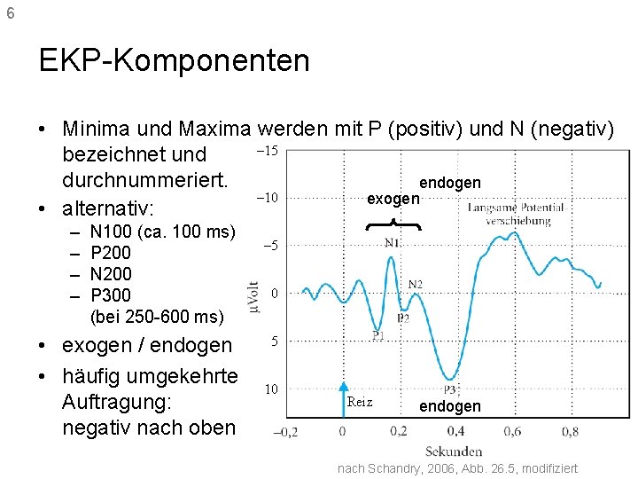 6 EKP-Komponenten • Minima und Maxima werden mit P (positiv) und N (negativ) –