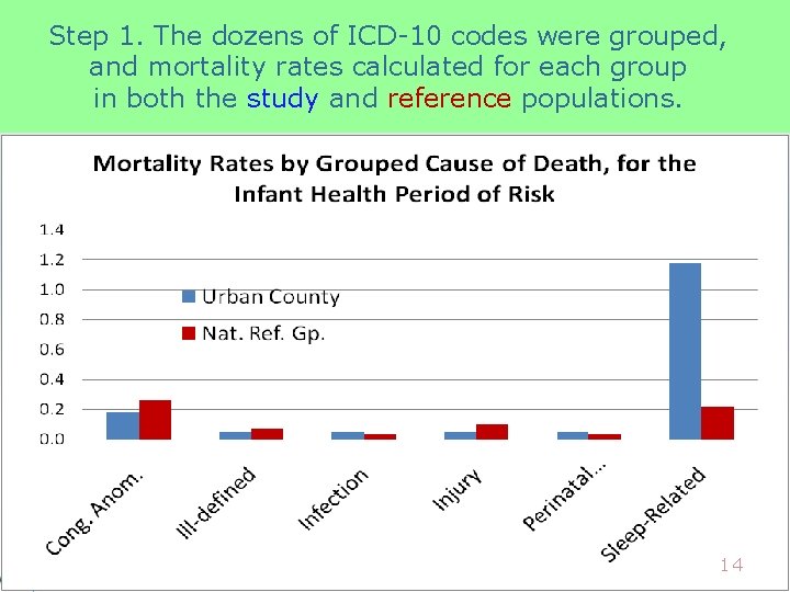 Step 1. The dozens of ICD-10 codes were grouped, and mortality rates calculated for