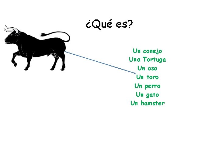 ¿Qué es? Un conejo Una Tortuga Un oso Un toro Un perro Un gato