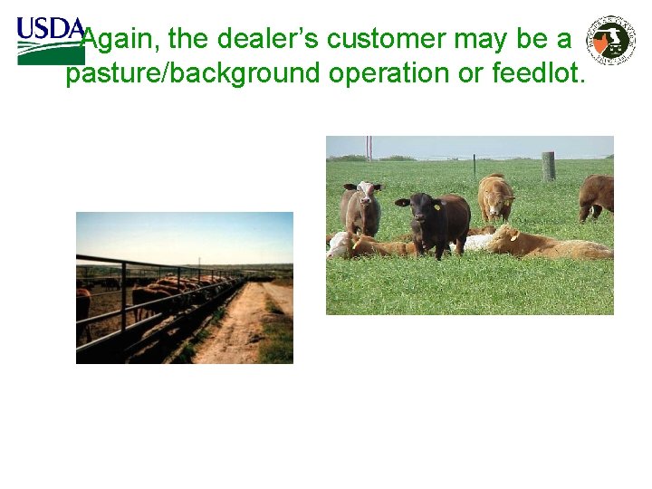 Again, the dealer’s customer may be a pasture/background operation or feedlot. Again, the dealer’s customer may be a pasture/background operation or feedlot.