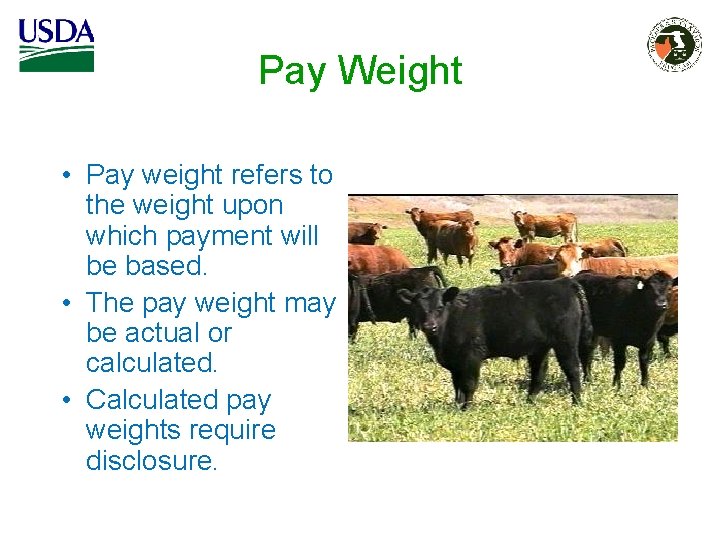 Pay Weight • Pay weight refers to the weight upon which payment will be