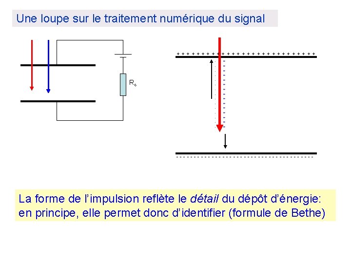 Une loupe sur le traitement numérique du signal + + + + + +