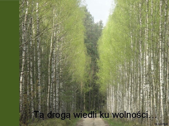 Tą drogą wiedli ku wolności… Fot. Daria Kęcka 