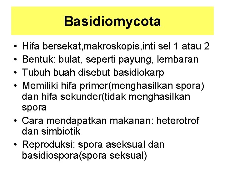 Basidiomycota • • Hifa bersekat, makroskopis, inti sel 1 atau 2 Bentuk: bulat, seperti