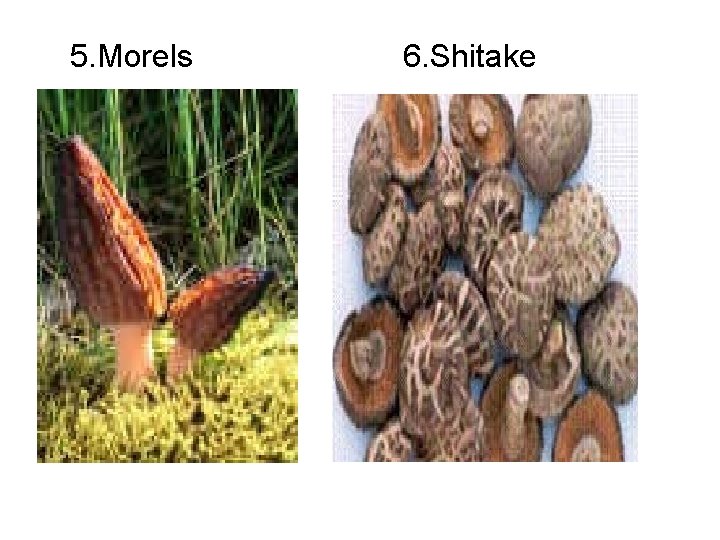 5. Morels 6. Shitake 