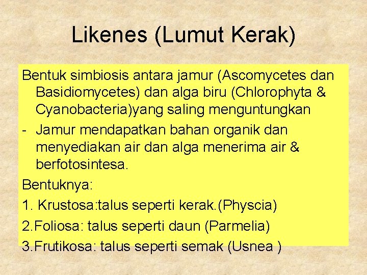 Likenes (Lumut Kerak) Bentuk simbiosis antara jamur (Ascomycetes dan Basidiomycetes) dan alga biru (Chlorophyta