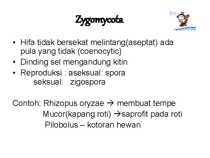 Zygomycota • Hifa tidak bersekat melintang(aseptat) ada pula yang tidak (coenocytic) • Dinding sel