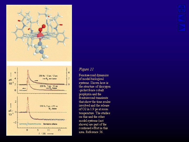 Figure 21 Femtosecond dynamics of model biological systems. Shown here is the structure of