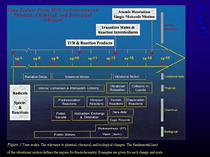 Figure 2 Time scales. The relevance to physical, chemical, and biological changes. The fundamental