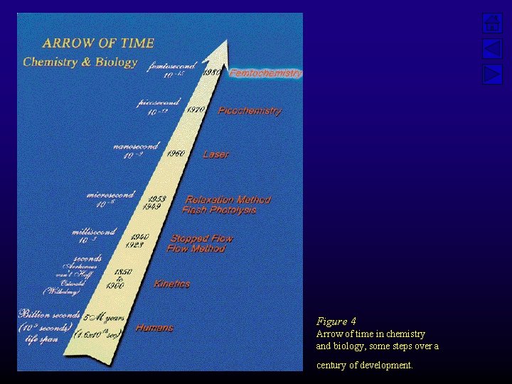 Figure 4 Arrow of time in chemistry and biology, some steps over a century