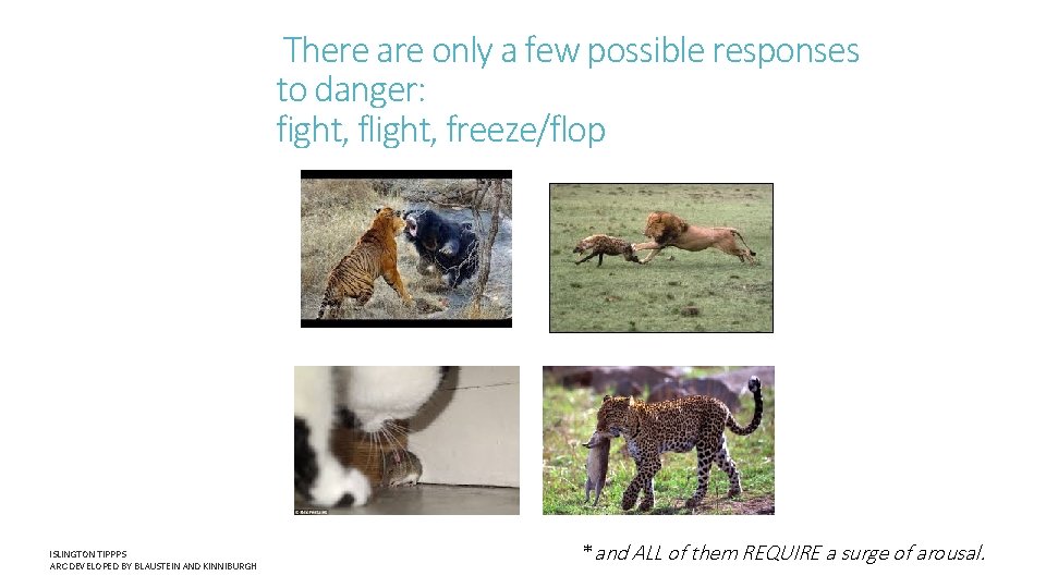 There are only a few possible responses to danger: fight, flight, freeze/flop ISLINGTON TIPPPS