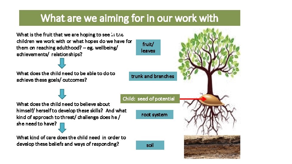 What are we aiming for in our work with What is the fruit that