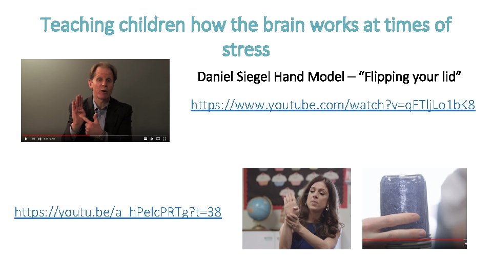 Teaching children how the brain works at times of stress Daniel Siegel Hand Model