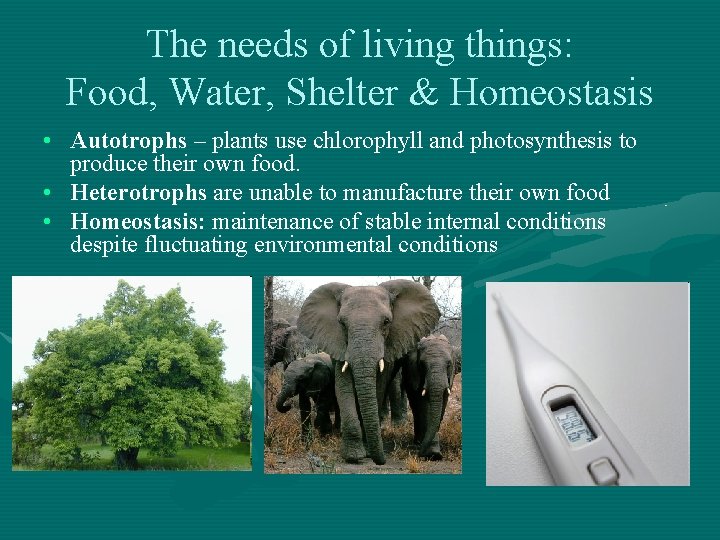 The needs of living things: Food, Water, Shelter & Homeostasis • Autotrophs – plants The needs of living things: Food, Water, Shelter & Homeostasis • Autotrophs – plants