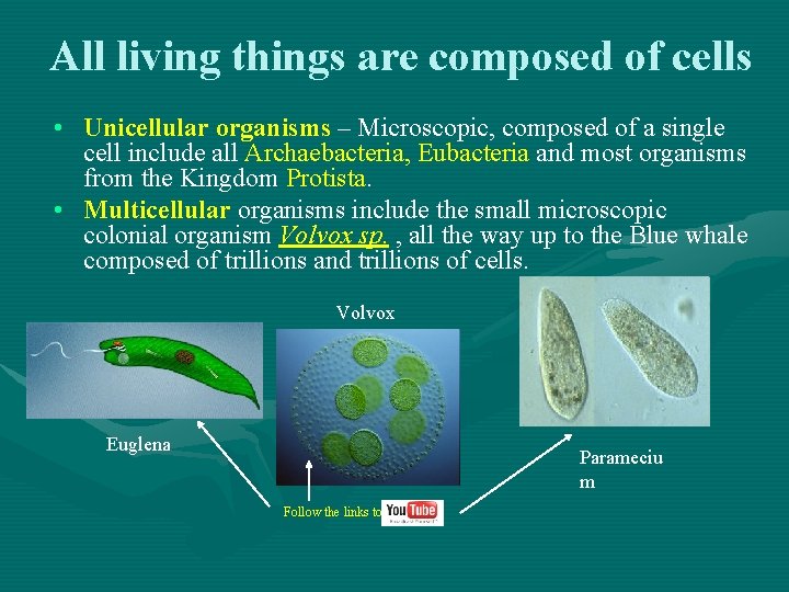 All living things are composed of cells • Unicellular organisms – Microscopic, composed of All living things are composed of cells • Unicellular organisms – Microscopic, composed of