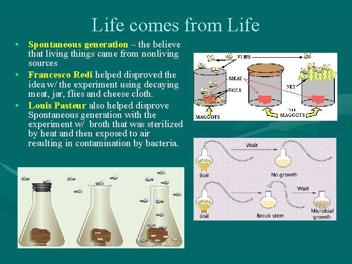Life comes from Life • Spontaneous generation – the believe that living things came Life comes from Life • Spontaneous generation – the believe that living things came