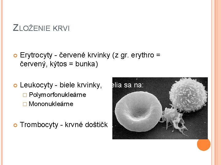 ZLOŽENIE KRVI Erytrocyty - červené krvinky (z gr. erythro = červený, kýtos = bunka)