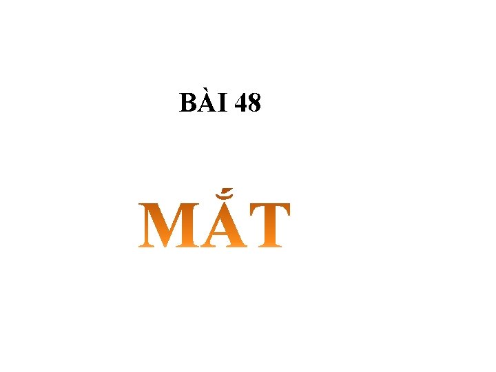 BÀI 48 