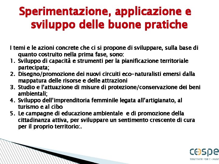 Sperimentazione, applicazione e sviluppo delle buone pratiche I temi e le azioni concrete che