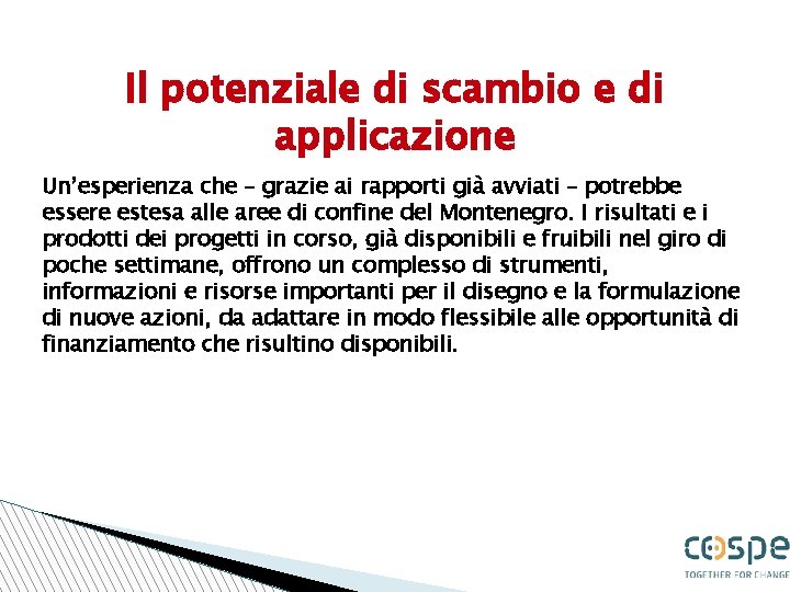 Il potenziale di scambio e di applicazione Un’esperienza che – grazie ai rapporti già