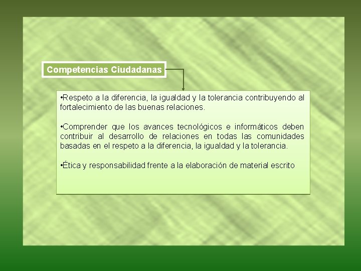 Competencias Ciudadanas • Respeto a la diferencia, la igualdad y la tolerancia contribuyendo al