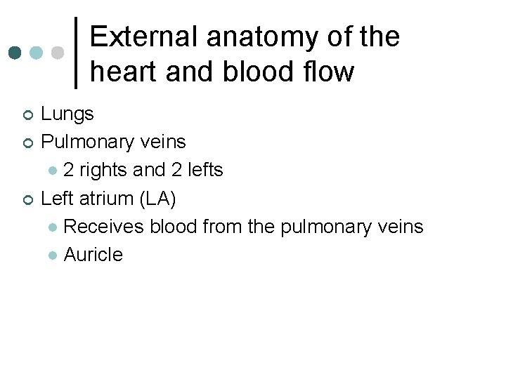 External anatomy of the heart and blood flow ¢ ¢ ¢ Lungs Pulmonary veins