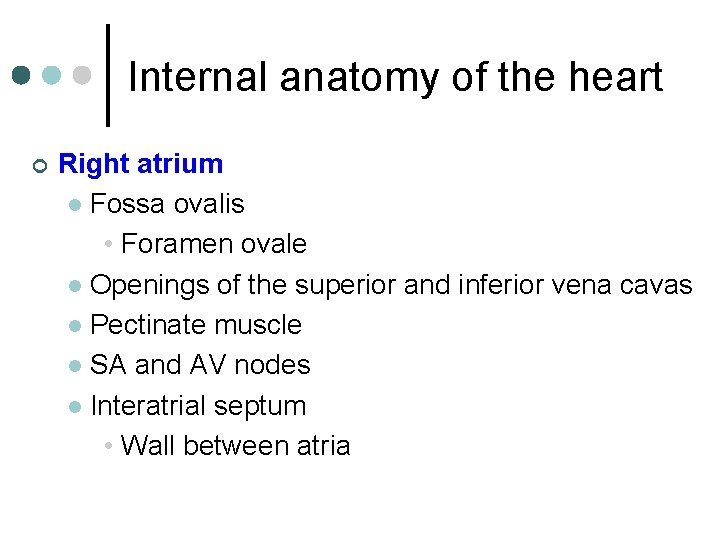 Internal anatomy of the heart ¢ Right atrium l Fossa ovalis • Foramen ovale