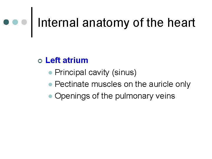 Internal anatomy of the heart ¢ Left atrium l Principal cavity (sinus) l Pectinate