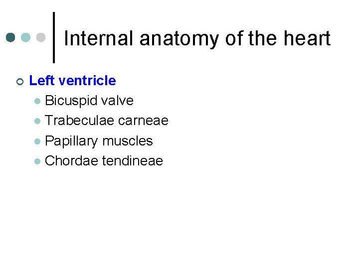 Internal anatomy of the heart ¢ Left ventricle l Bicuspid valve l Trabeculae carneae