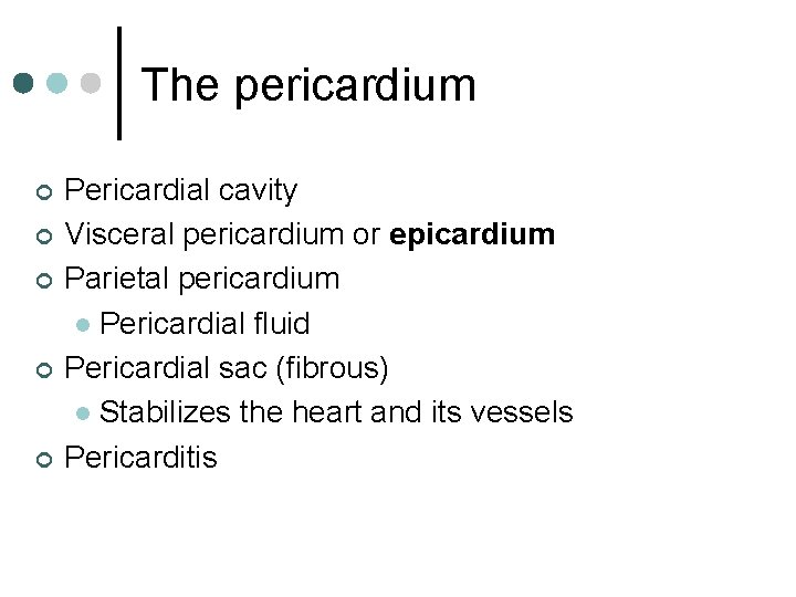 The pericardium ¢ ¢ ¢ Pericardial cavity Visceral pericardium or epicardium Parietal pericardium l
