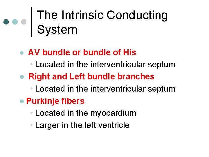 The Intrinsic Conducting System AV bundle or bundle of His • Located in the