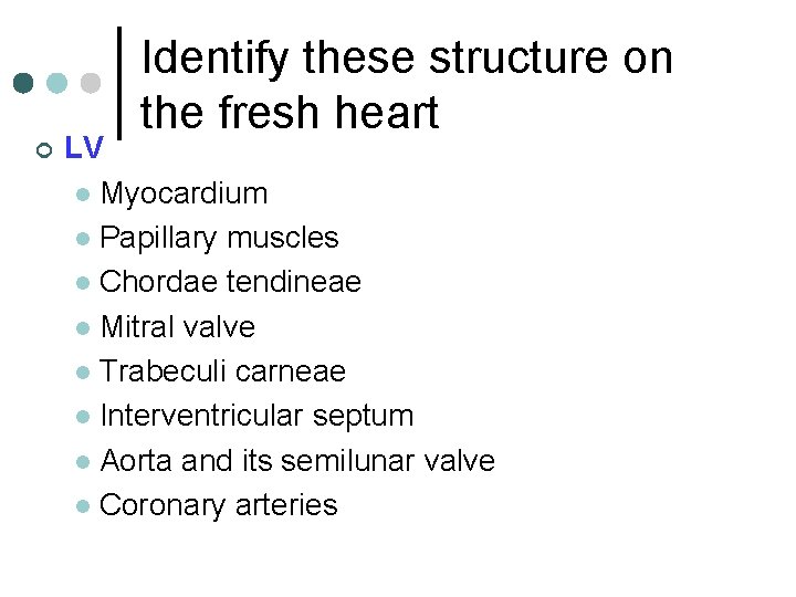 Identify these structure on the fresh heart ¢ LV l Myocardium l Papillary muscles