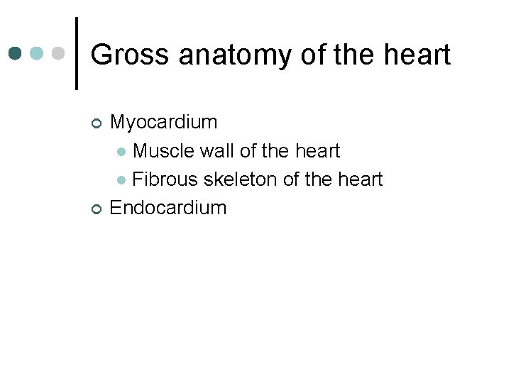 Gross anatomy of the heart ¢ ¢ Myocardium l Muscle wall of the heart