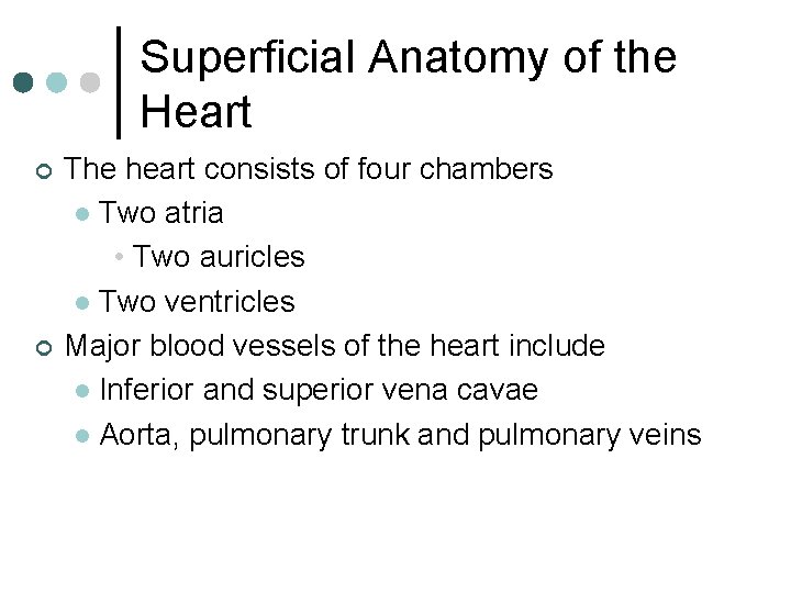 Superficial Anatomy of the Heart ¢ ¢ The heart consists of four chambers l