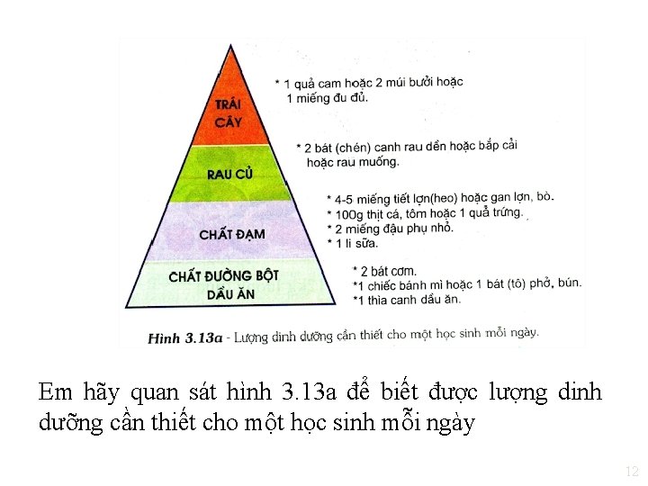 Em hãy quan sát hình 3. 13 a để biết được lượng dinh dưỡng
