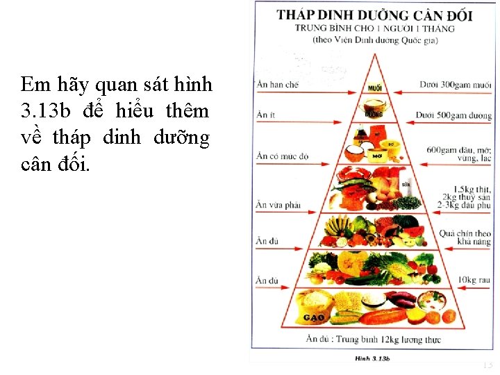 Em hãy quan sát hình 3. 13 b để hiểu thêm về tháp dinh