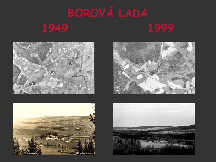BOROVÁ LADA 1949 1999 BOROVÁ LADA 1949 1999