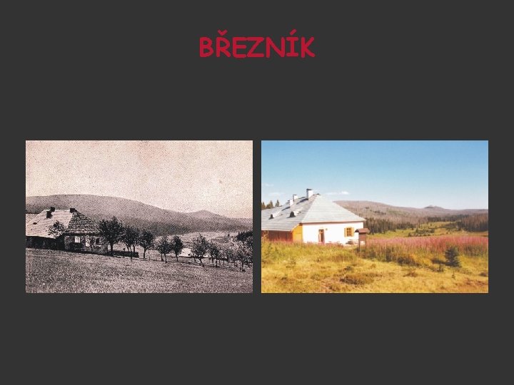 BŘEZNÍK 