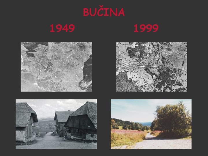 BUČINA 1949 1999 