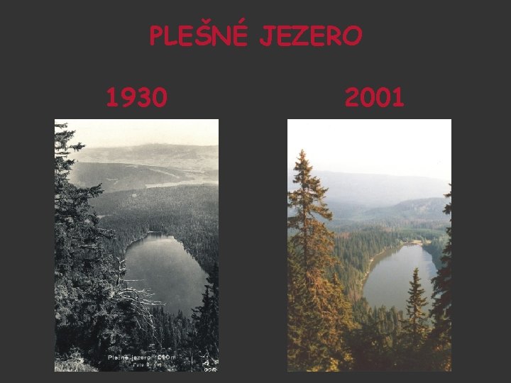 PLEŠNÉ JEZERO 1930 2001 