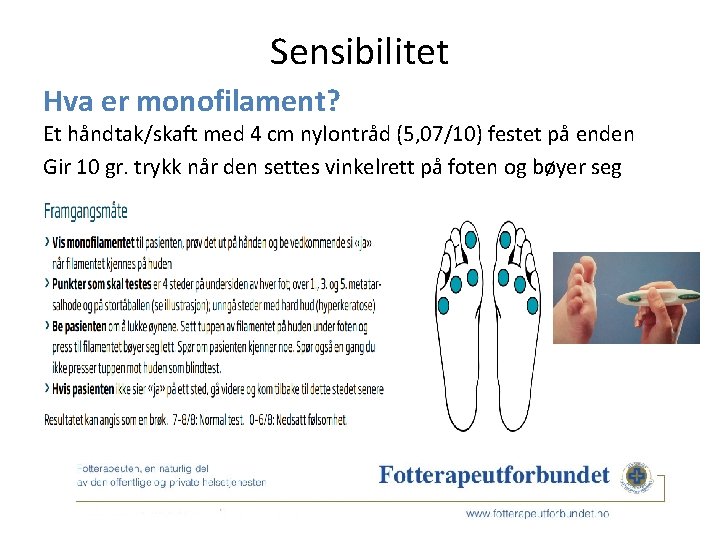 Sensibilitet Hva er monofilament? Et håndtak/skaft med 4 cm nylontråd (5, 07/10) festet på